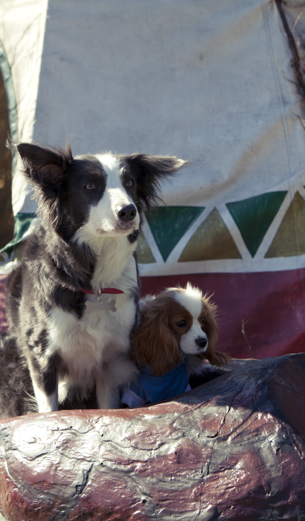 Герои фильма Ёлки лохматые 2014