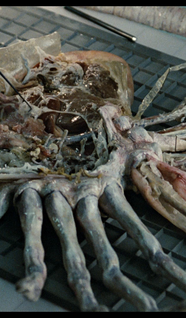 Кино 80-й пришелец