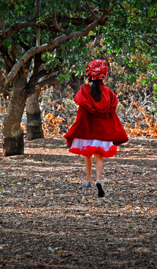 Фильм - В лес