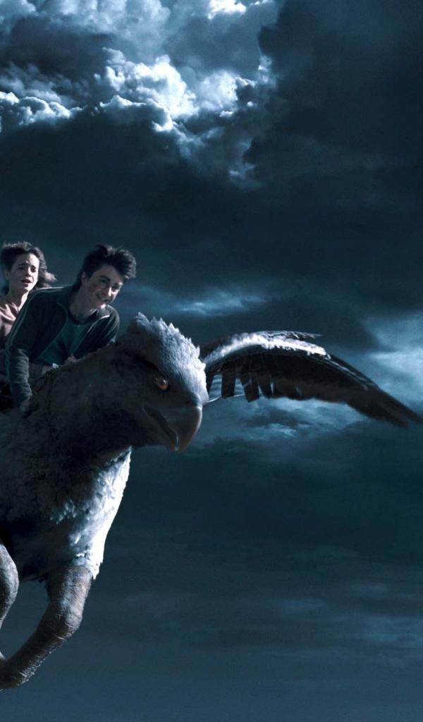 Гарри Поттер и узник Азкабана