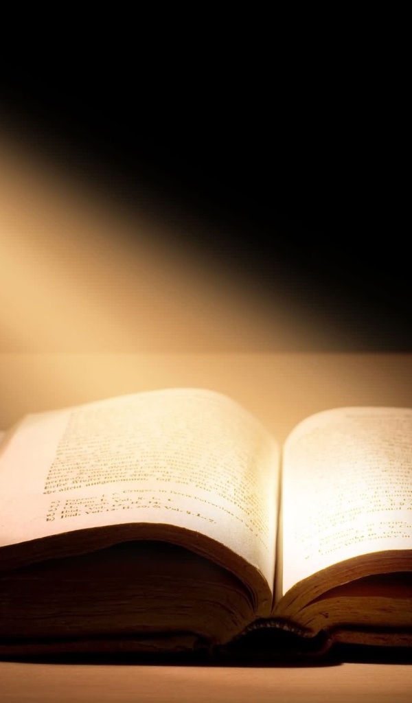 Новый фильм Воровка книг