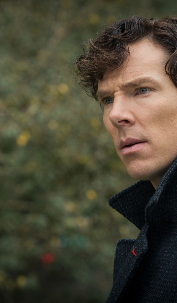 Задумчивый взгляд Шерлока