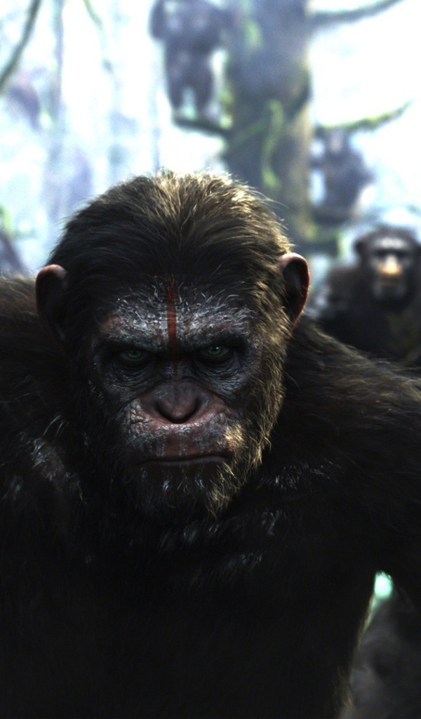 Премьера кинофильма Планета обезьян Революция