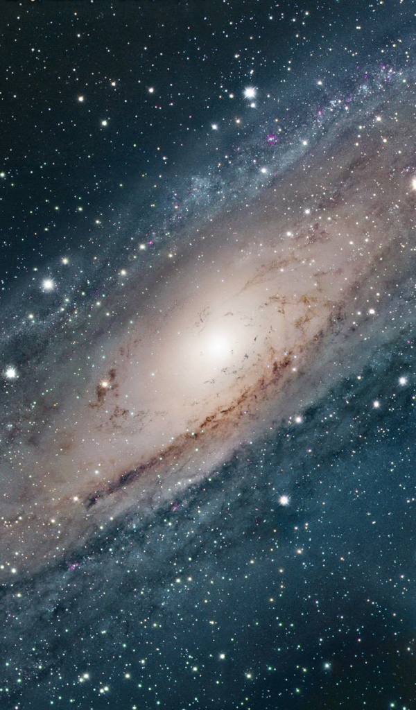 Дорога к звёздам