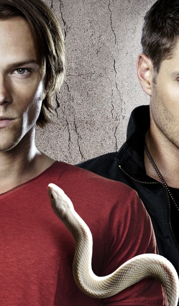 Сем и Дин из сериала Сверхъестественное