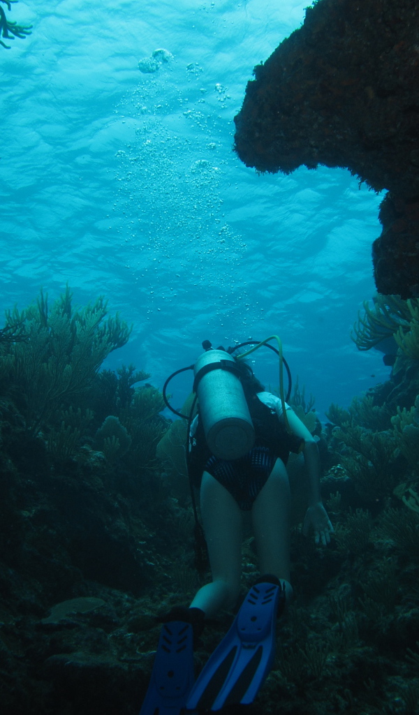 Тайна двух океанов