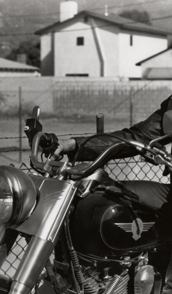 Терминатор 2:  Судный день