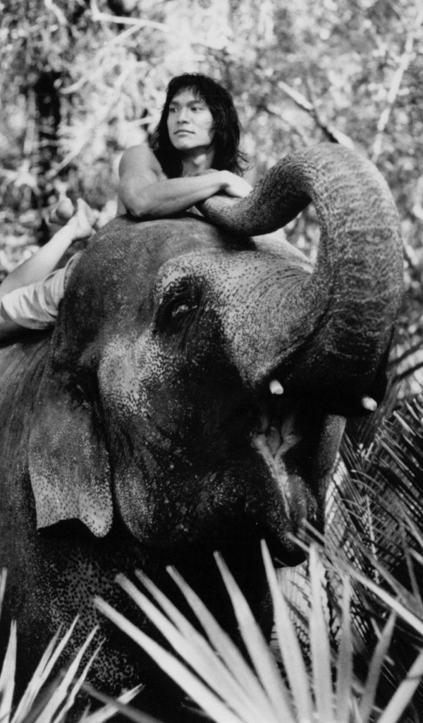 Книга джунгле