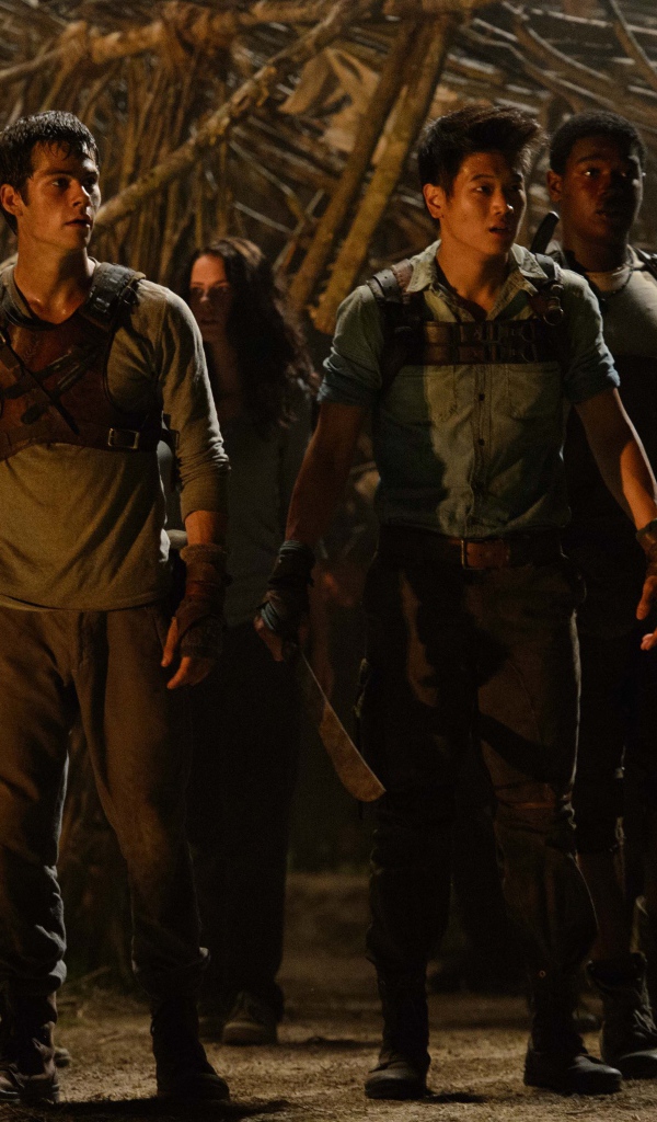 Бегущий по лабиринту герои