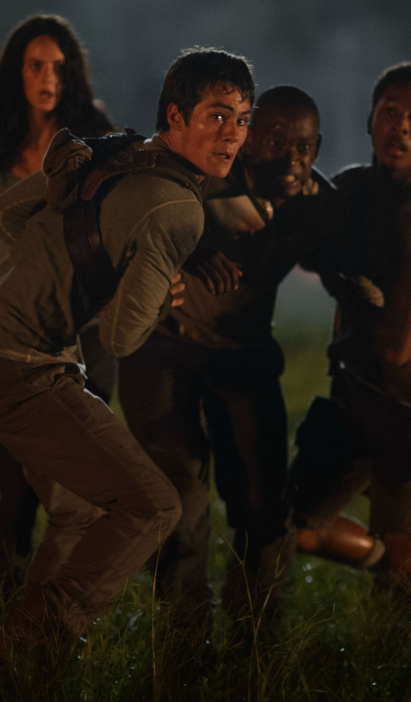 Бегущий по лабиринту на поле