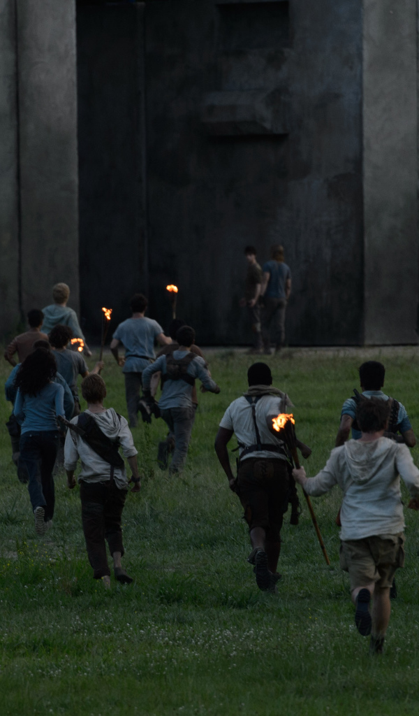 Бегущий по лабиринту  бегство