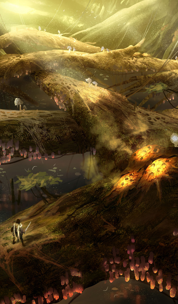 Десятое королевство