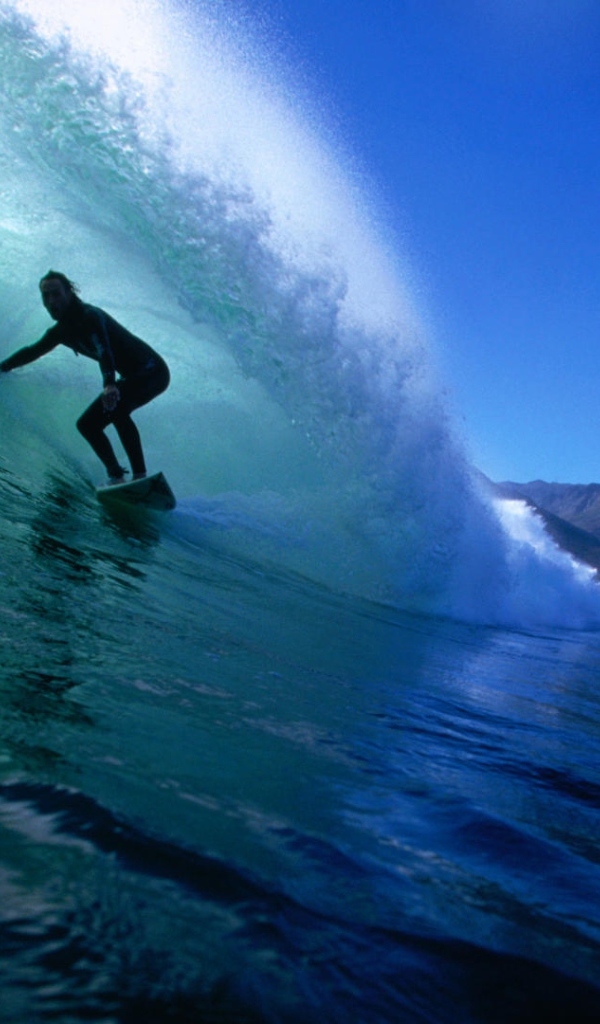   На гребне волны