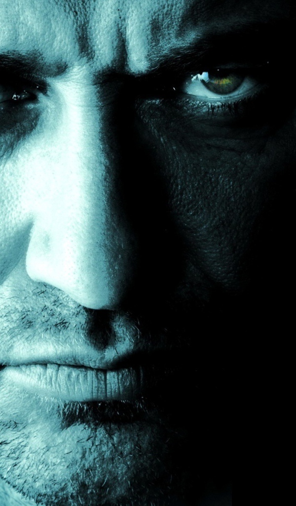  Законопослушный гражданин