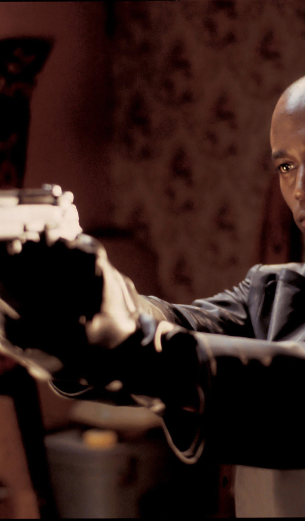  Эквилибриум