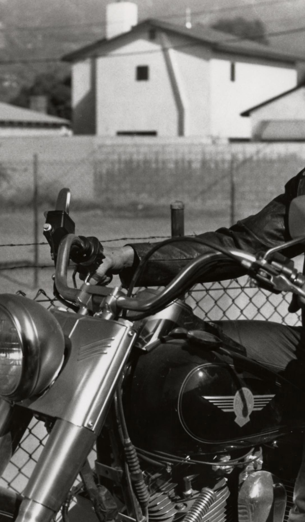 Терминатор 2 судный день Арнольд Шварценеггер