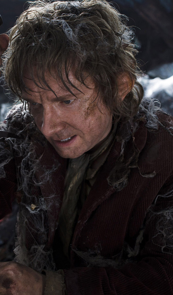 Хоббит Властелин колец