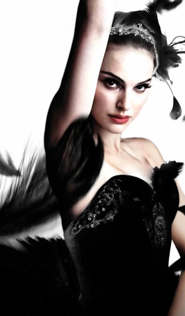   Чёрный лебедь