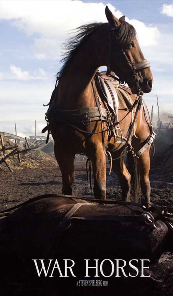 Боевой конь