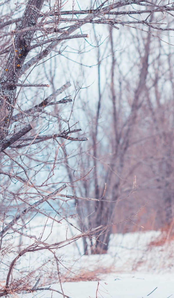 Девушка с гитарой в парке