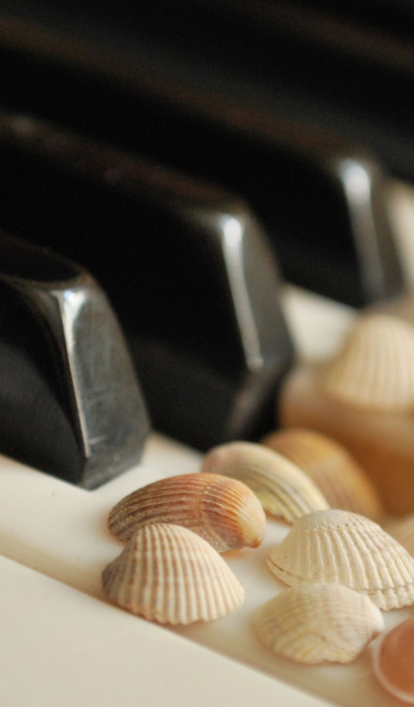 Клавиши с ракушками