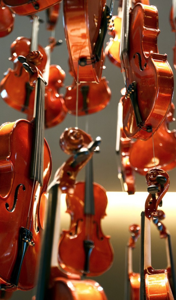 Дождь из скрипок