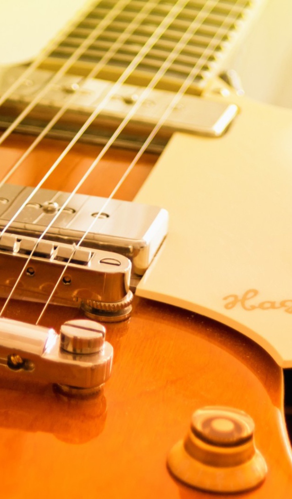 Шестиструнка