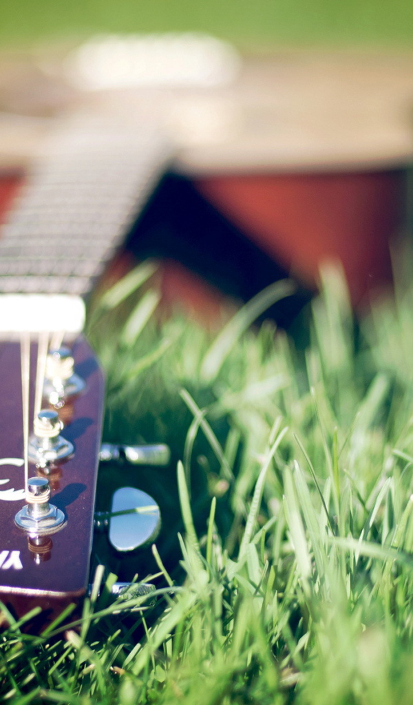 Гитара лежит на траве