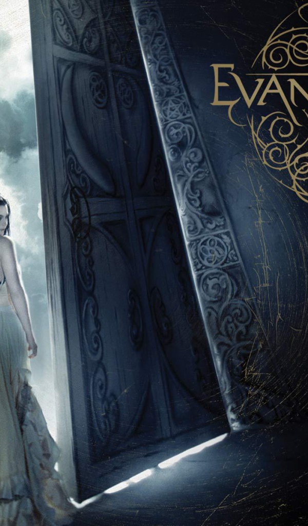 Постер группы Evanescence