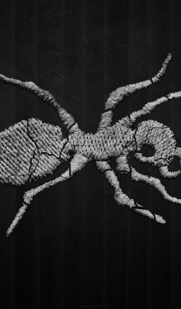 Муравей на темном фоне