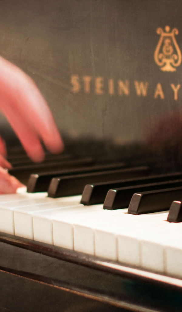 Руки музыканта