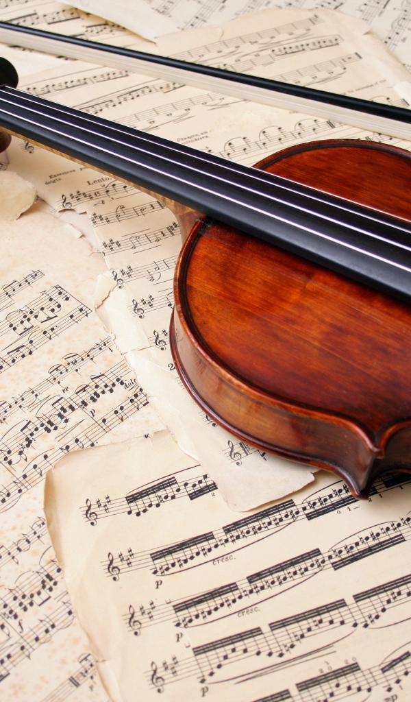 Скрипка лежит на нотах