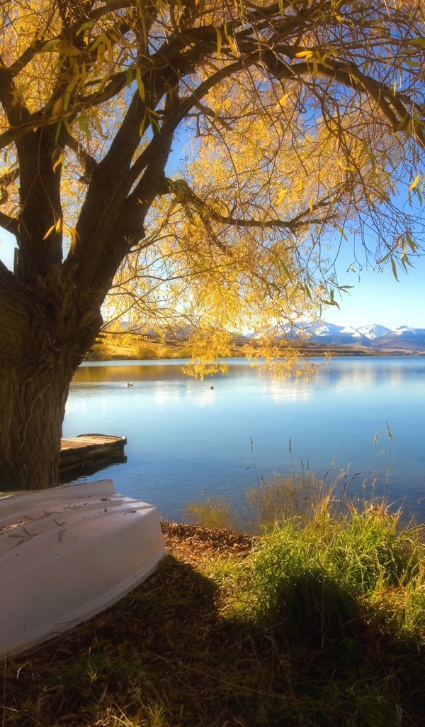 Лучший пейзаж