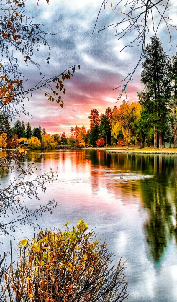 Березы у реки