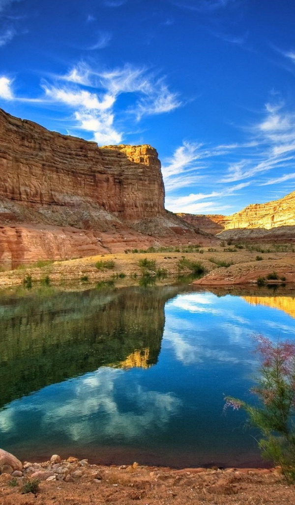 Каньон размышления