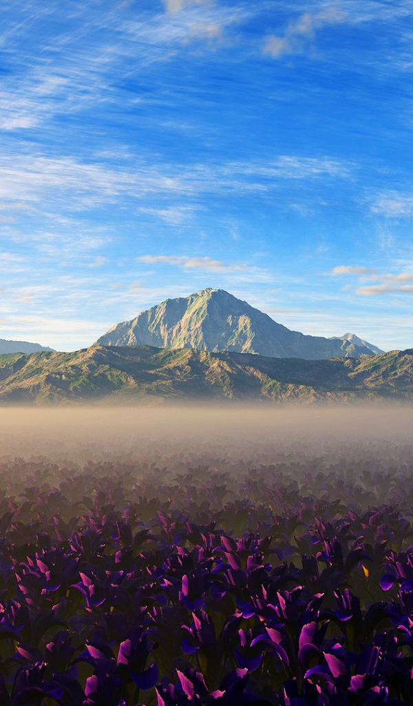 Цвета природы