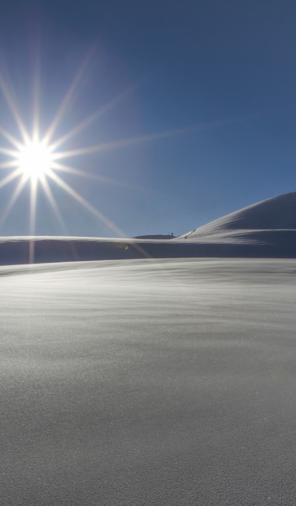 Звезда пустыни