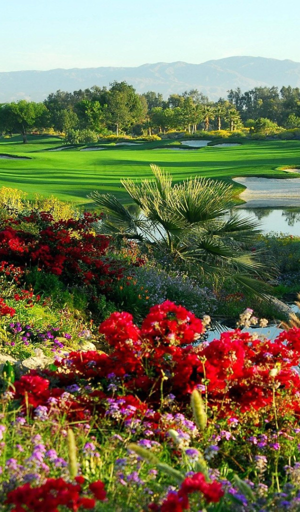 Сказочный сад