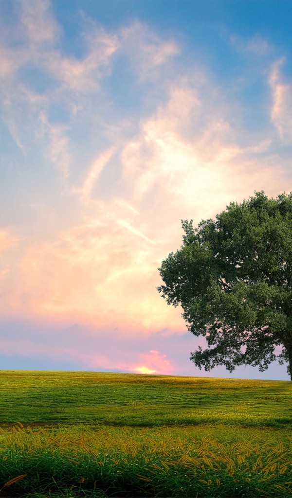 Свежая природа