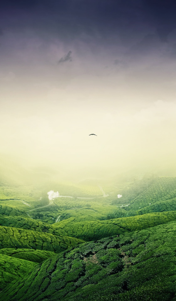 Зеленый пейзаж