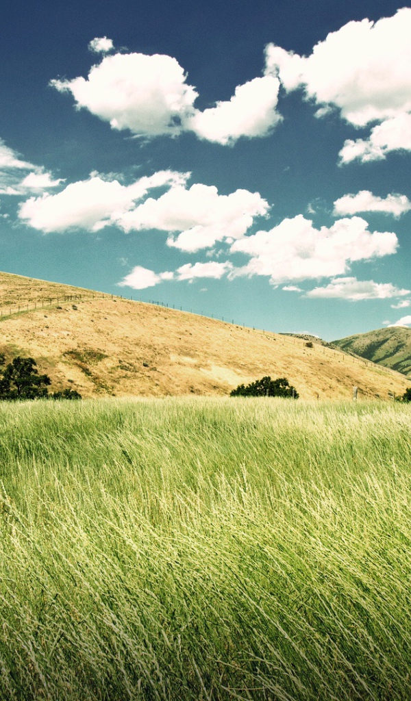 Зеленая долина