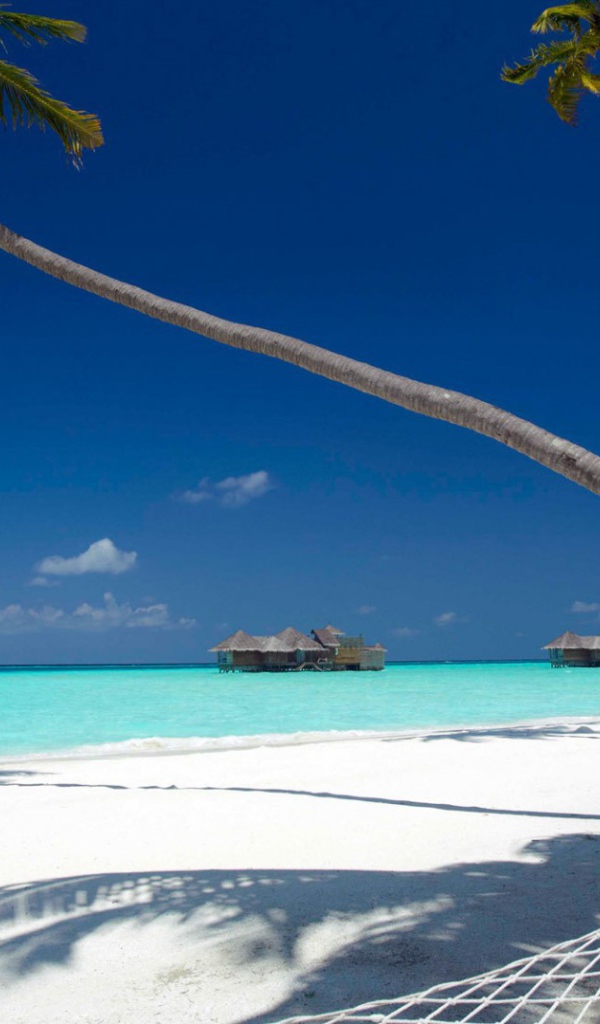 Гамак на лазурном берегу