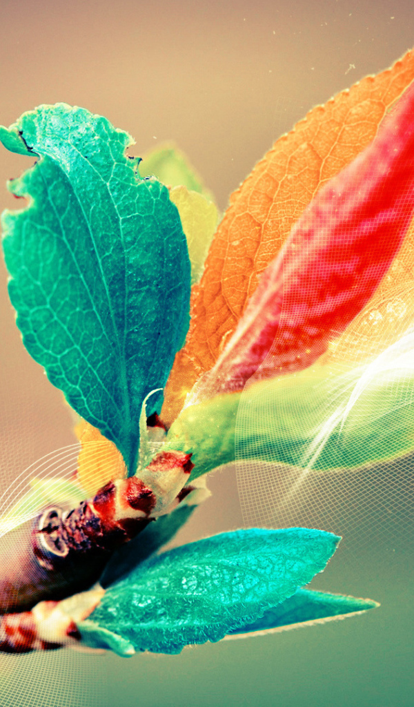 Листья в поляризованном свете