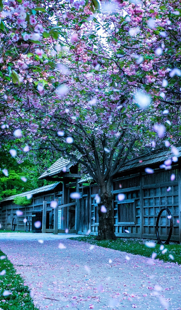 Парк в Канаде