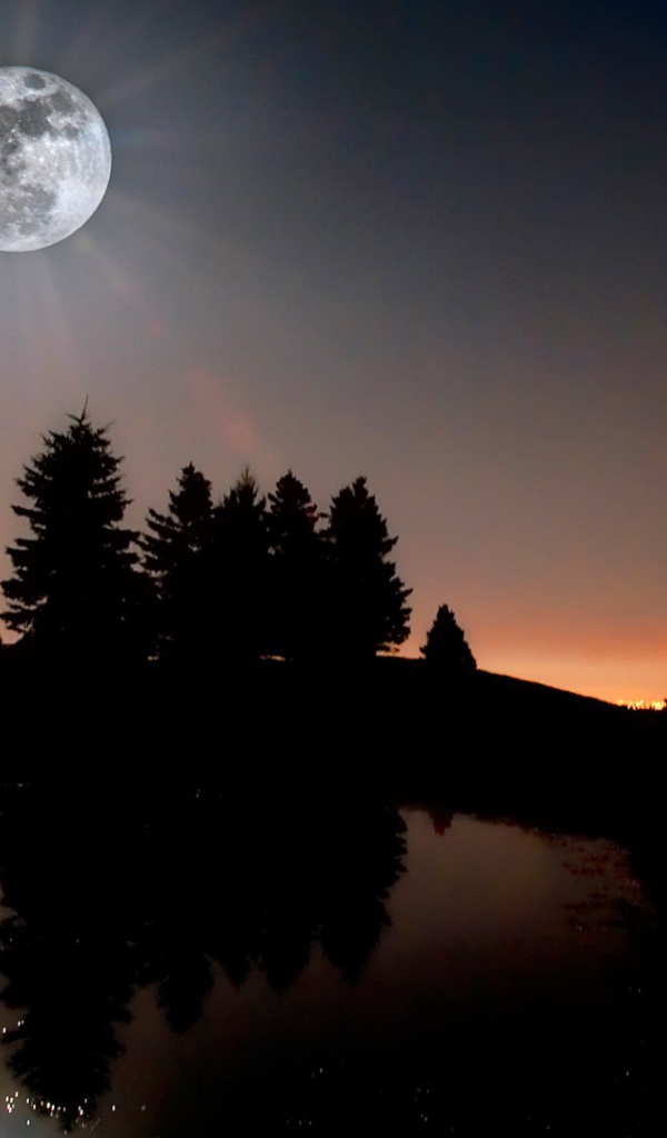 Лунный свет