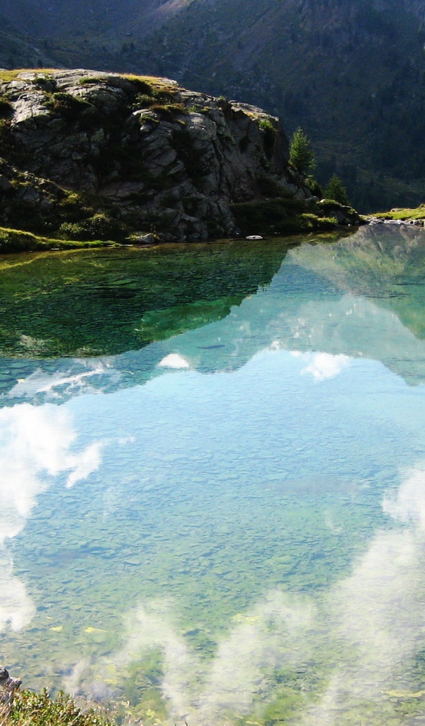 Размышления природы