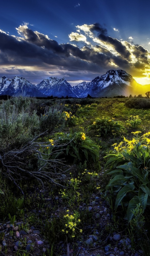 Подарок природы