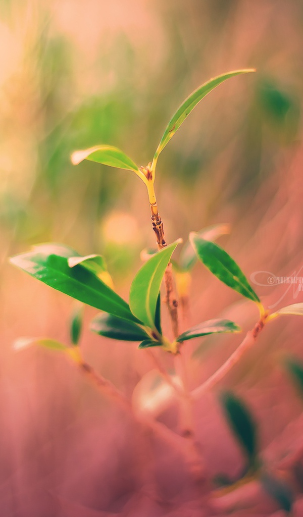 Новый завод