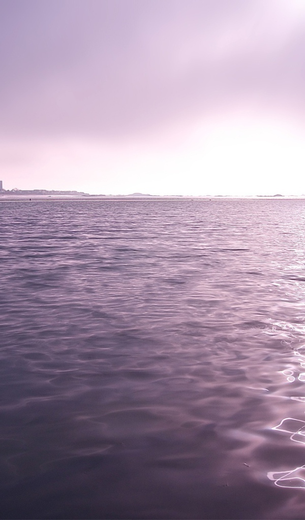 Фиолетовые сумерки