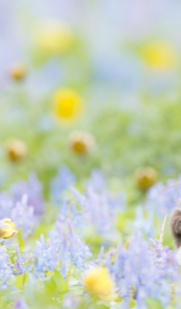 Пушистик с цветочками